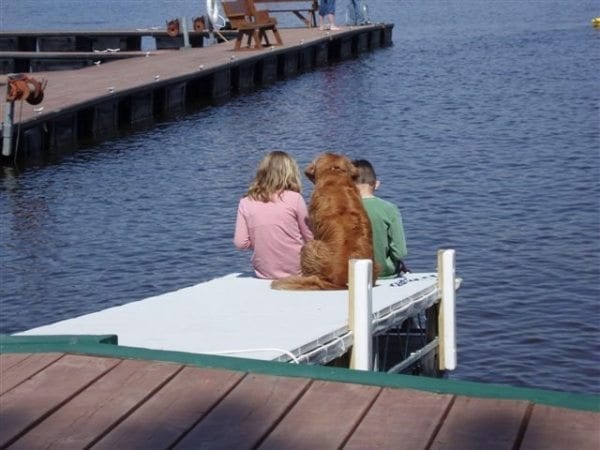 Kids and a dog on the dock.