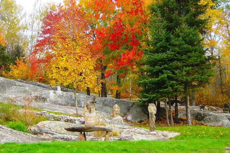Northern Lights Resort Scenery fall